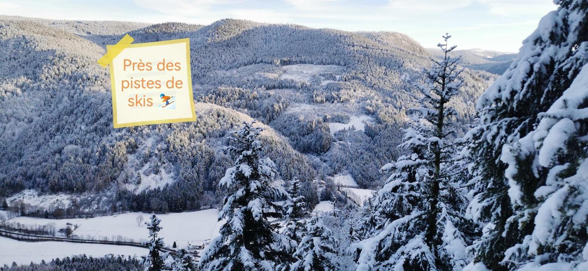 Gite Le Clos Des Vosges Ban-sur-Meurthe-Clefcy Exterior photo